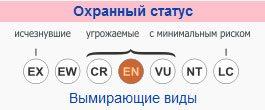 Красный волк, горный волк, гималайский волк, буанзу, охранный статус, МСОП