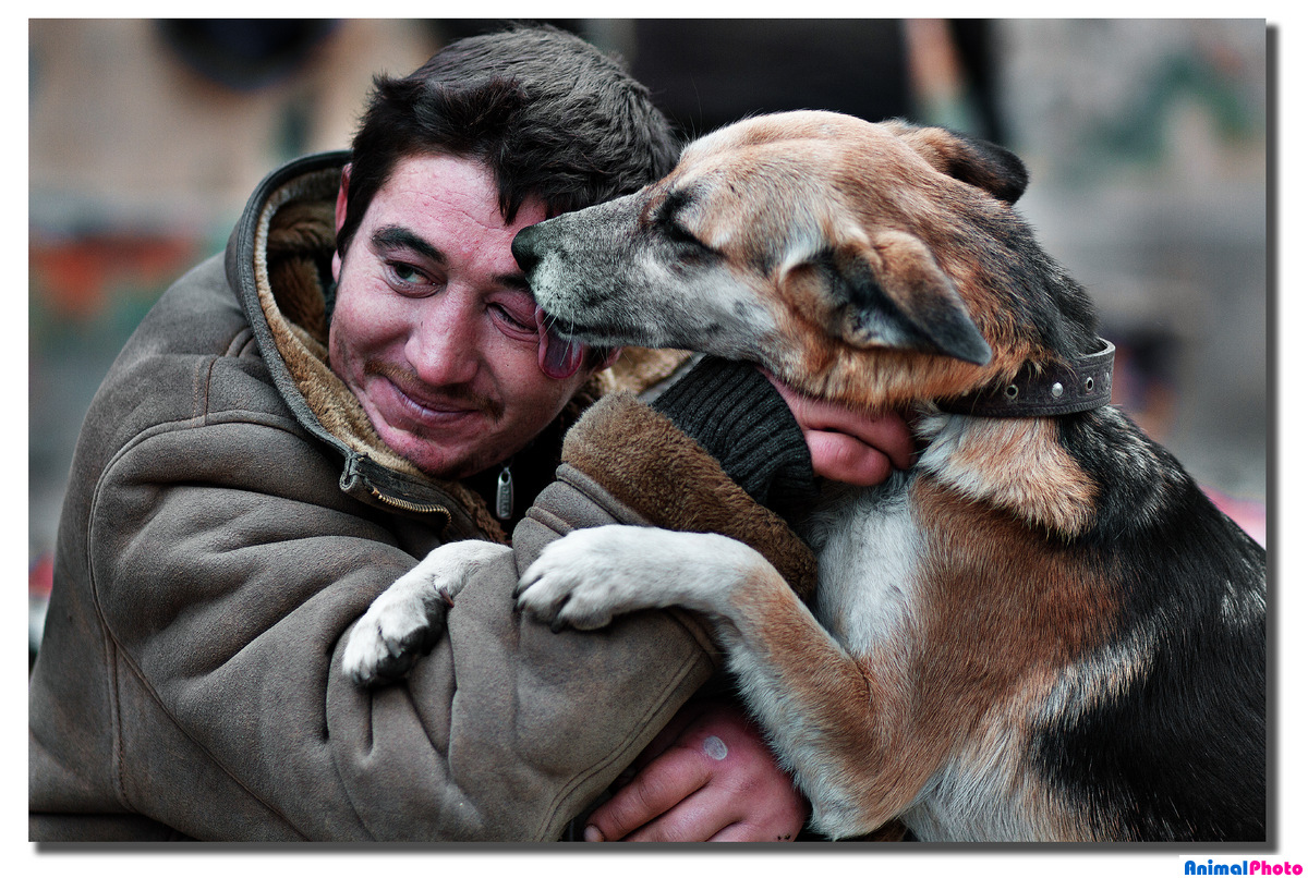 Верность пса. Собака друг человека. Дружба собаки и человека. Человек с собакой. Преданность собаки.