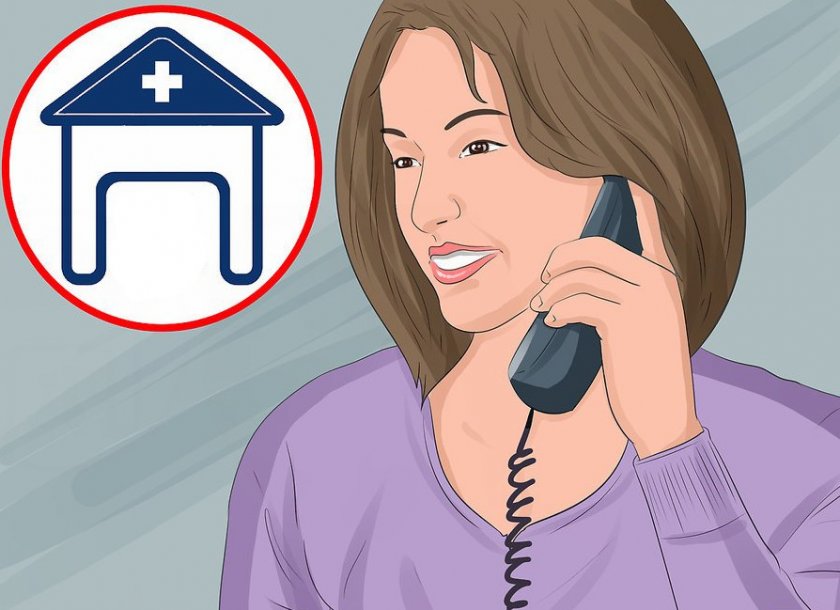 Вызов ветеринара Вызов ветеринара