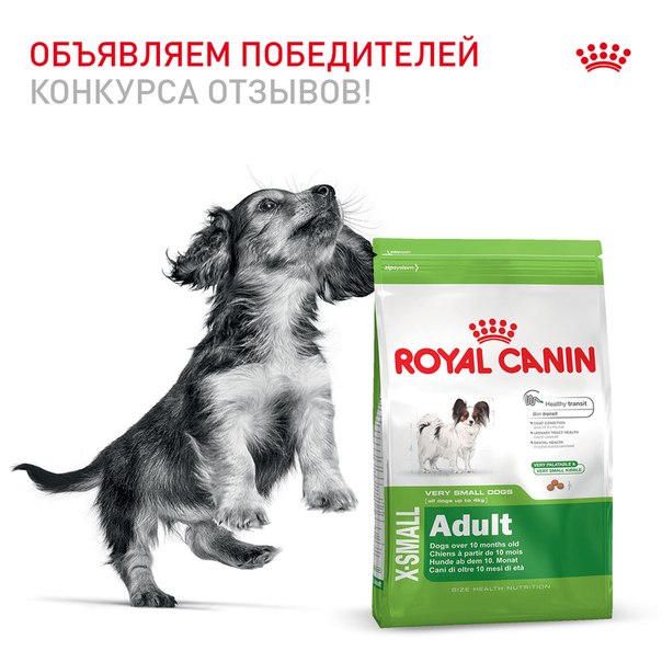 Royal canin породы. Щенок из рекламы Роял Канин. Проплан Роял Канин Сириус реклама. Проплан Роял Канин Сириус. Роял Канин реклама.