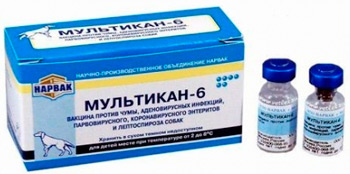 «Мультикан-6» — вакцина против коронавирусного энтерита