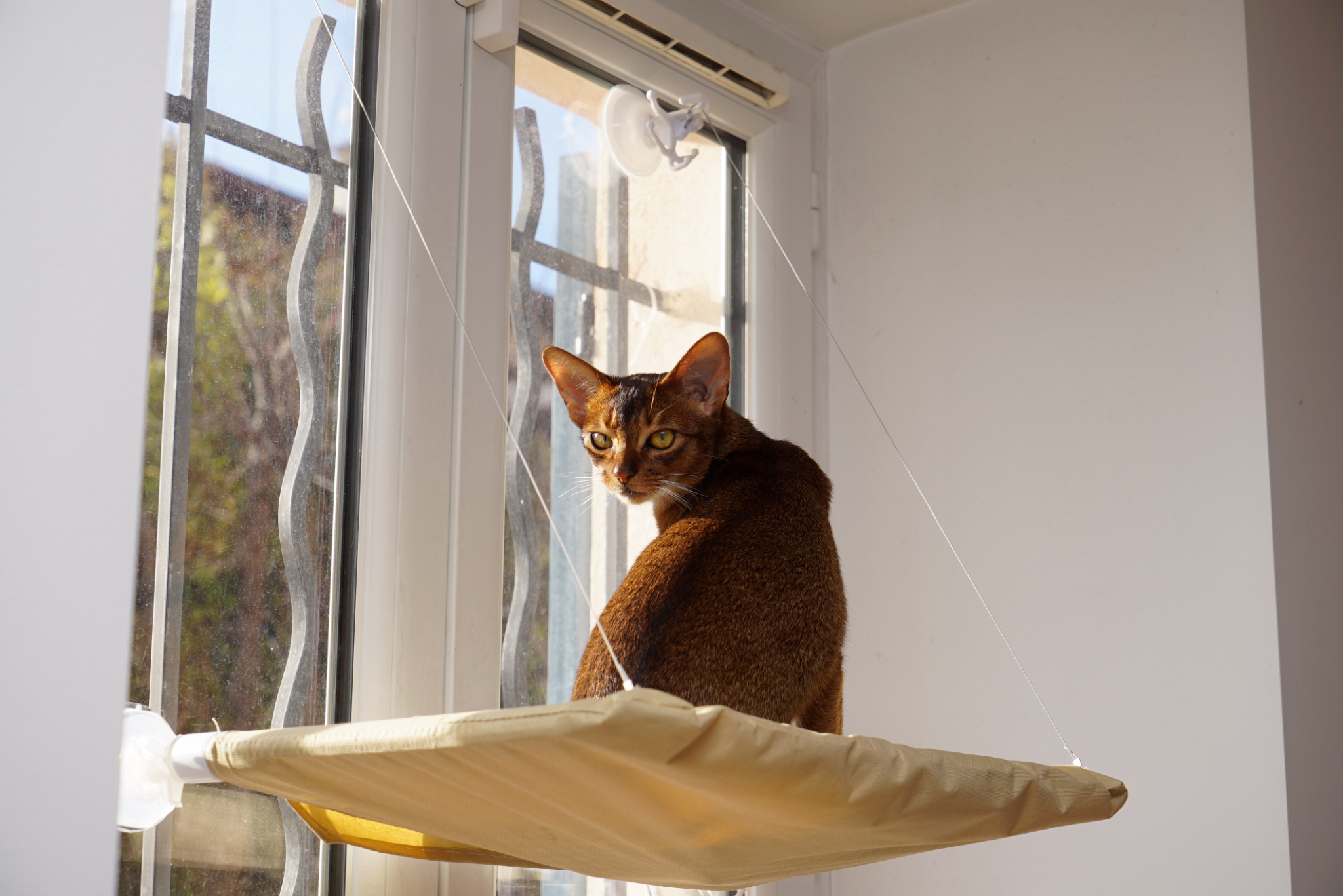 Гамак для кошки на окно