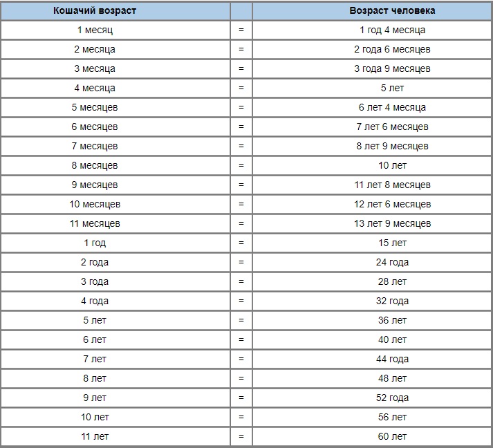 Кошачий возраст по человеческим меркам таблица фото на русском языке