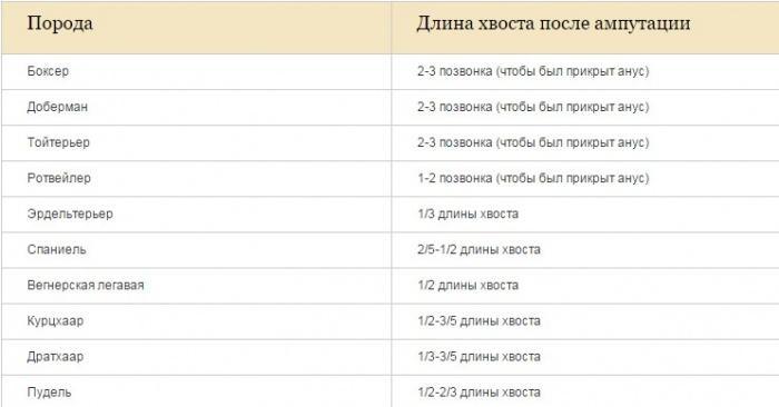 Длины купирования хвостов