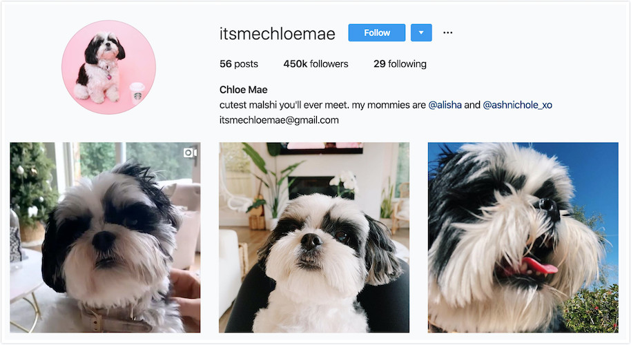 Instagram Profile of Chloe Mae