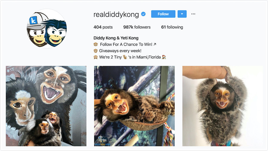 Instagram Profile of Diddy Kong and Yeti Kong