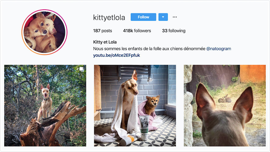 Instagram Profile of Kitty et Lola