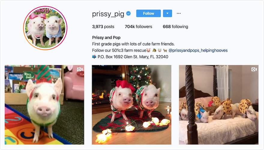 Instagram Profile of Prissy and Pop