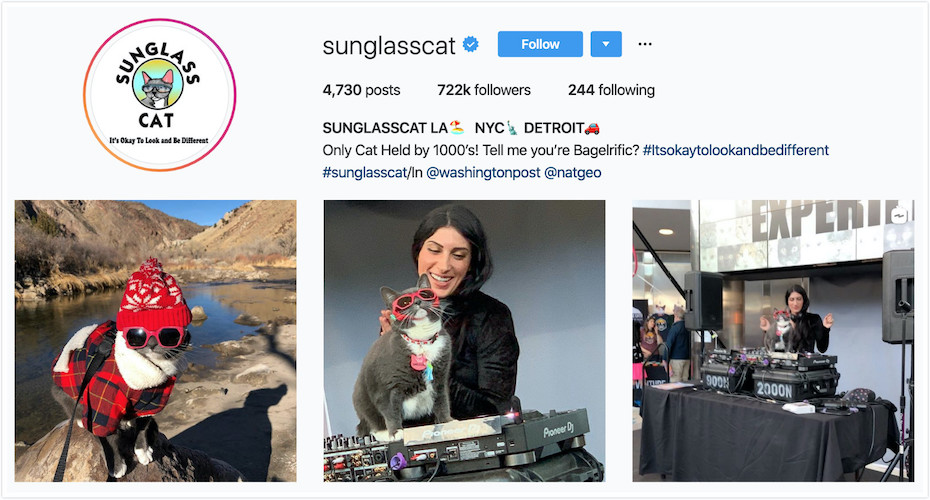 Instagram Profile of Sunglass Cat