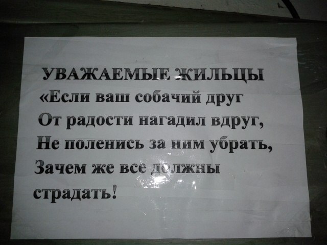 Убери сосед. Собаки гадят в подъезде объявление. Гадят в подъезде объявления. Объявление не гадить в подъезде. Объявление чтобы собаки не гадили в подъезде.