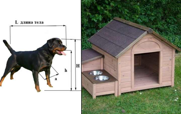 Будка для восточно европейской овчарки размеры чертежи фото