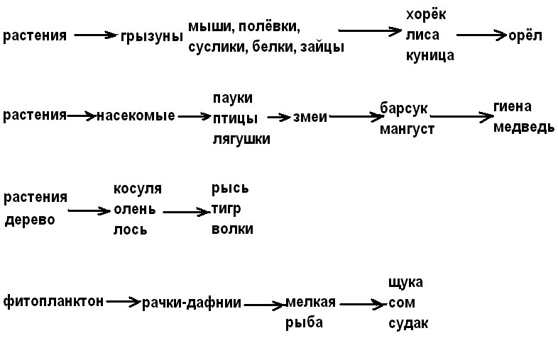 Рассмотрите два типа цепей питания изображенные на рисунке на с 206 предложите аналогичные примеры