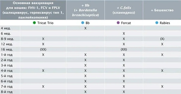 Нобивак схема прививок для собак
