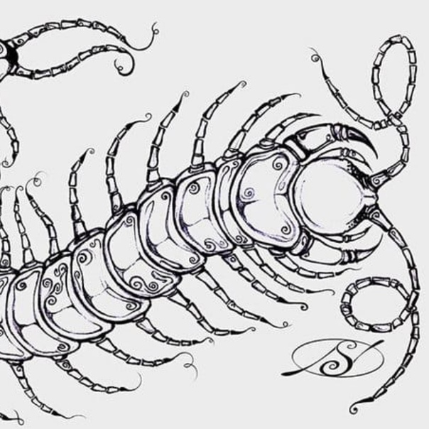 Сколопендра эскизы тату эскизы