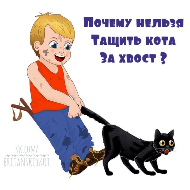 Фразеологизмы кота за хвост