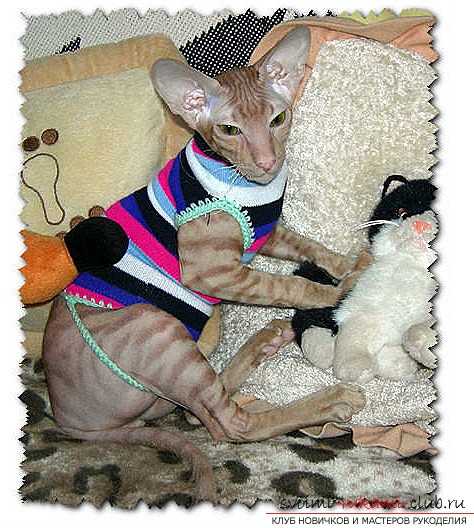 Свитер для кота и выкройка из старой одежды для новичка. Фото №2