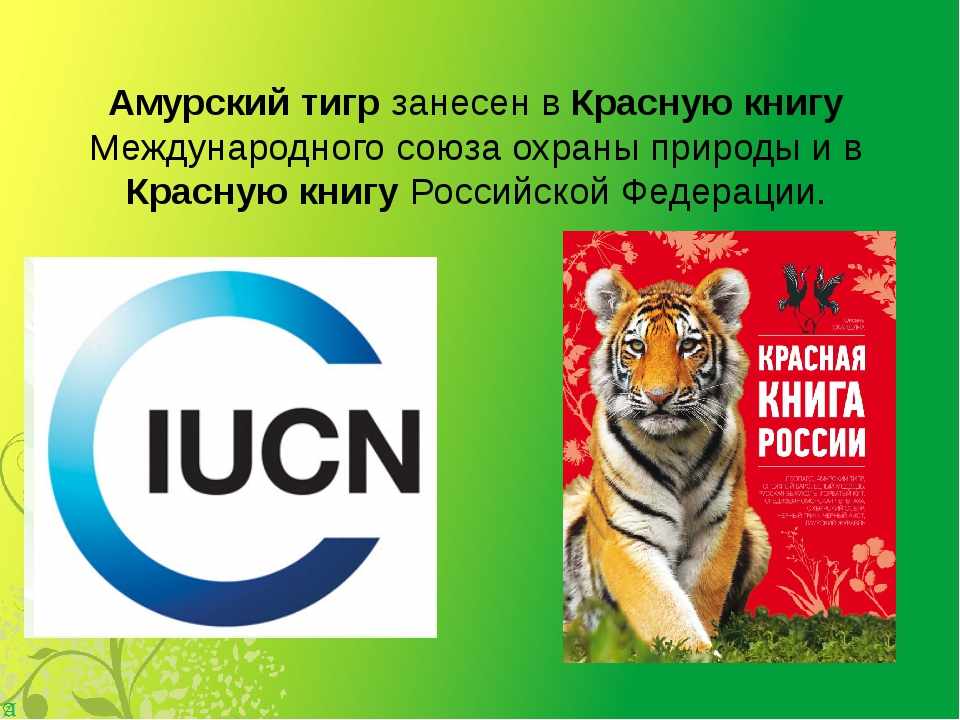 Международный союз охраны природы. Красная книга России МСОП. Красная книга международного Союза охраны природы. Красная книга МСОП животные. Охрана животных из красной книги МСОП.