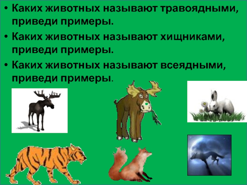 Какие списки изображены на картинке млекопитающие в природе