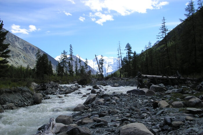 Altai-Reserve