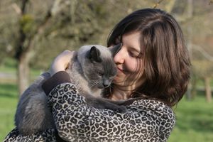 11 ознак, які показують, що ваша кішка дійсно любить вас