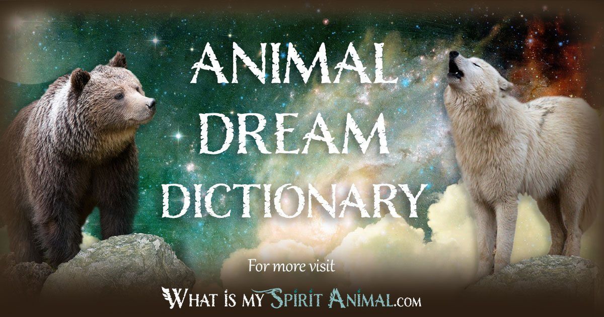 Animal Dream Dictionary 1200x630