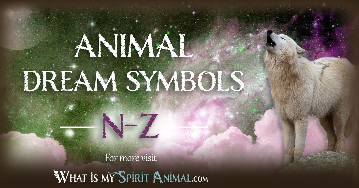 Animal Dream Symbols and Meanings