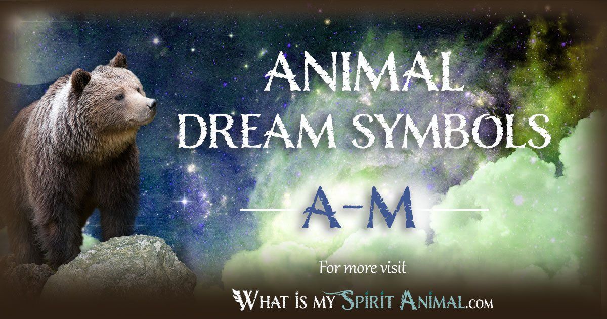 Animal Dream Symbols & Meanings A-M 1200x630