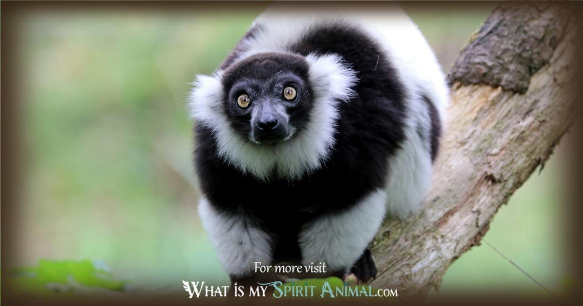 lemur spirit animal 1200x630
