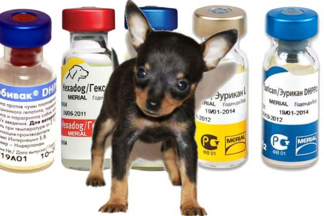препараты для вакцинация от бешенства щенка, собаки