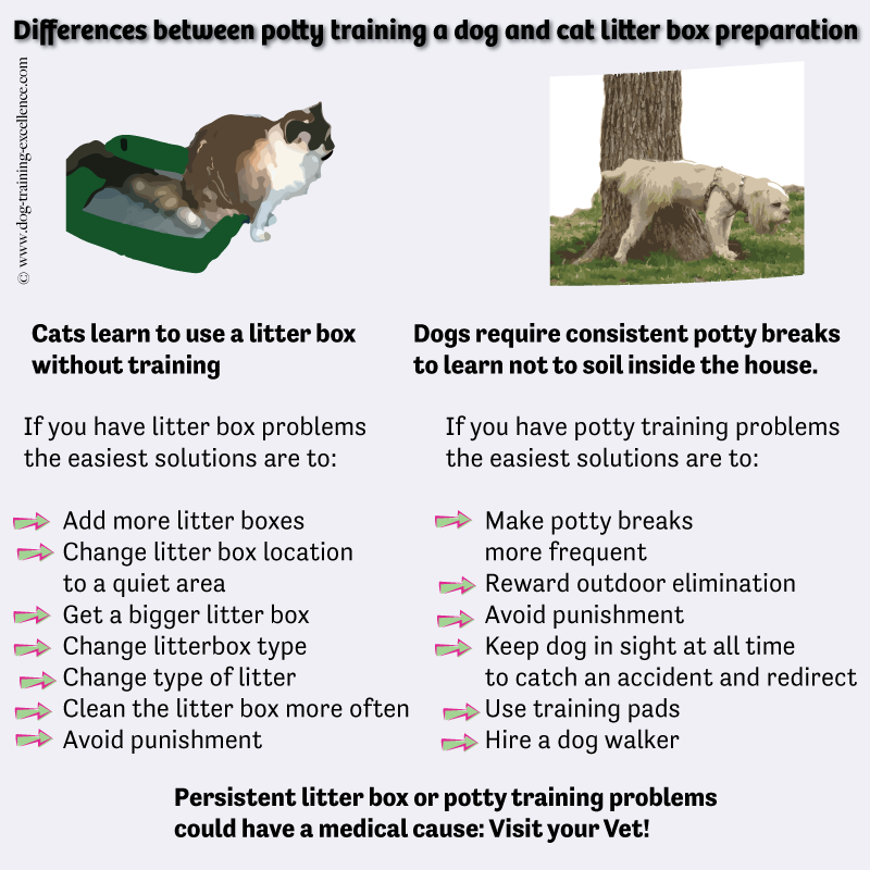 difference between dogs and cats, dog potty training problems, cat litter box