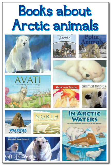Books about polar animals with a focus on Arctic animals 