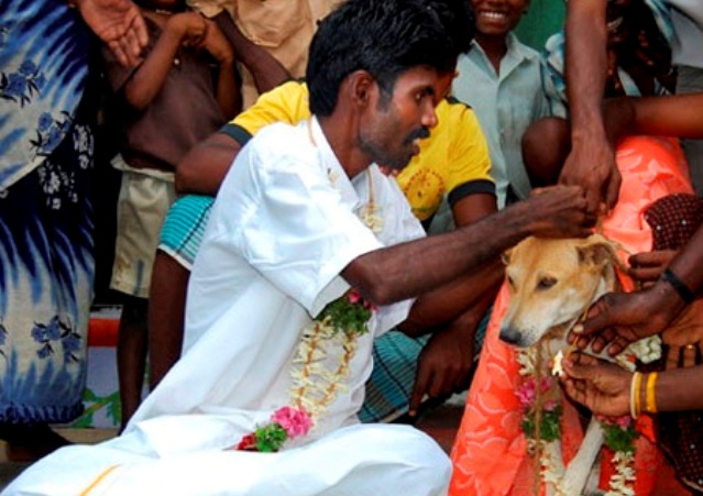 Невероятные истории людей, вступивших в брак с животными