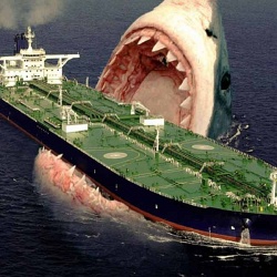Акула-мегалодон: топ 10 удивительных фактов об этом ужасном чудовище