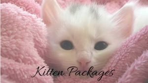 kitten packages