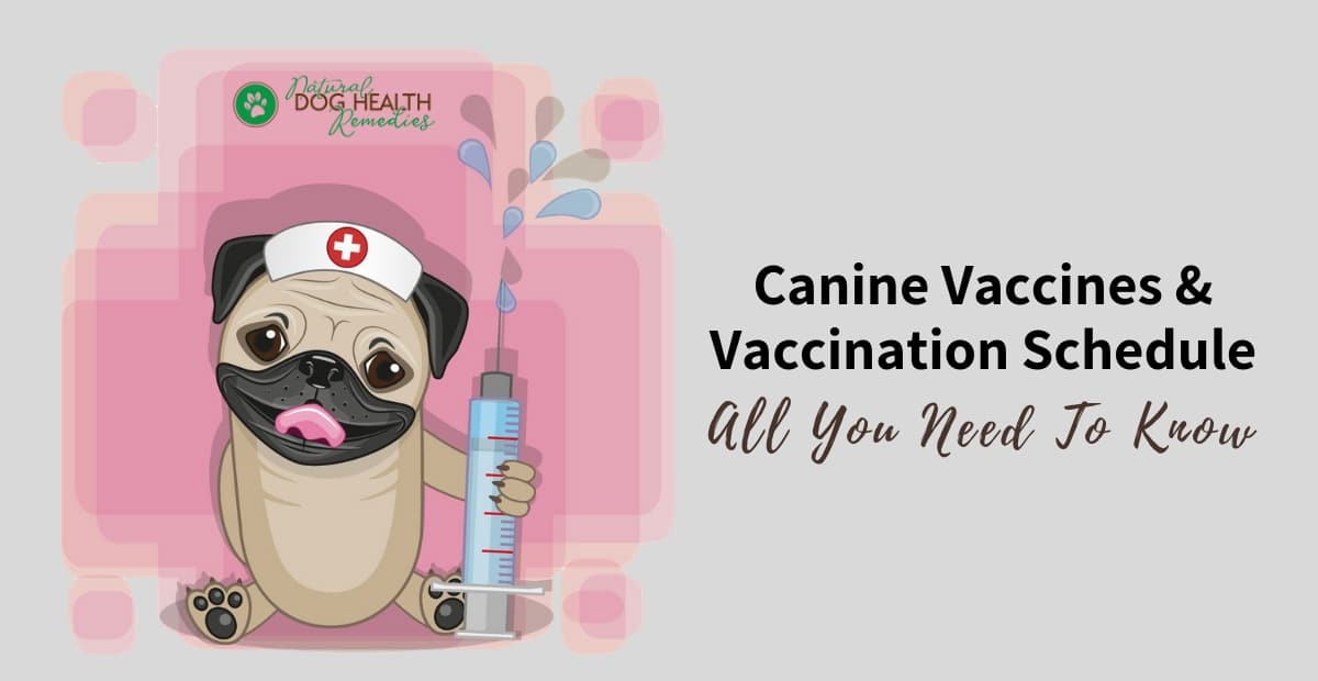 Canine Vaccines and Vaccination