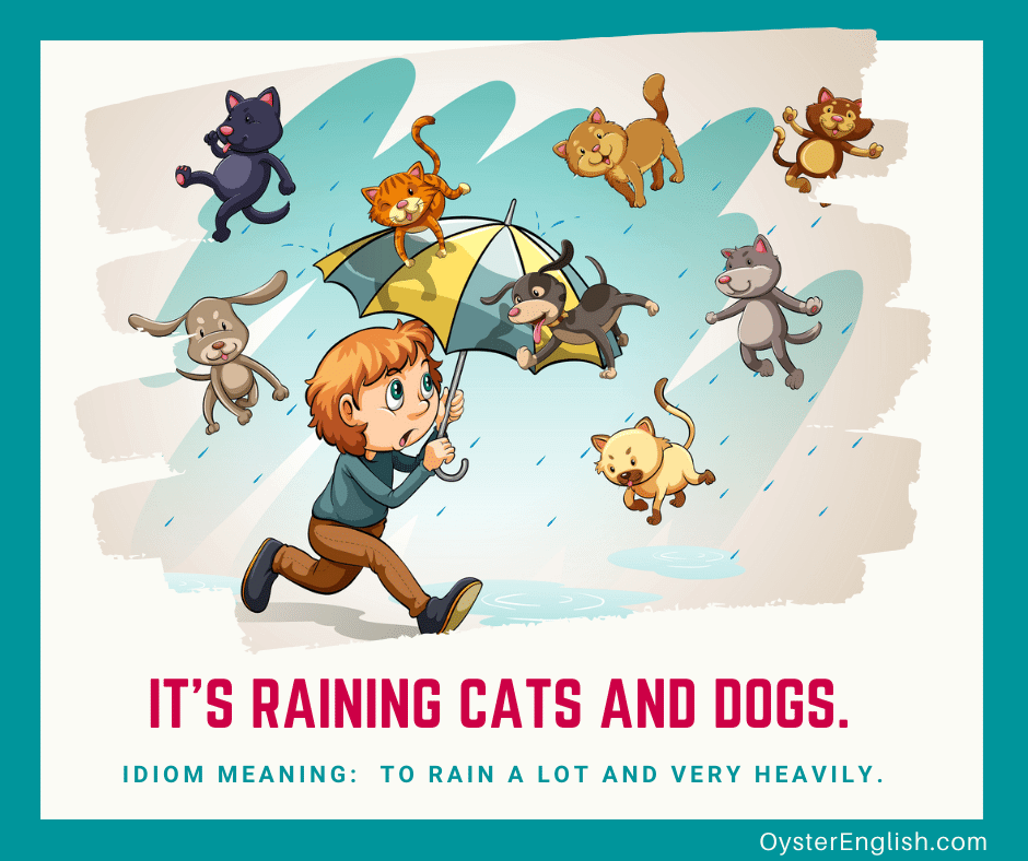 Illustration of a boy walking through the rain with his umbrella open and cats and dogs falling from the sky with the caption: It