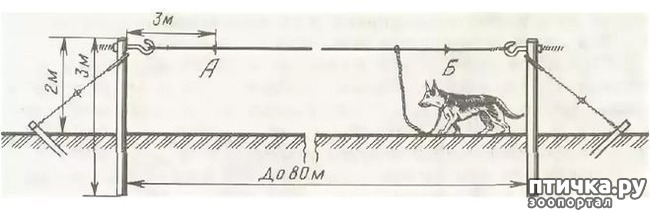 Длина цепи караульной собаки. Блок пост для служебных собак схема крепления. Оборудование блокпоста караульной собаки. Оборудование блокпоста для собаки. Трос для блокпост для собаки.
