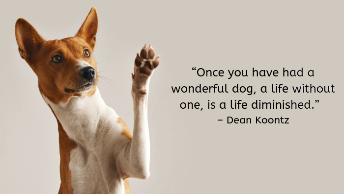 100 Great Quotes About Dogs