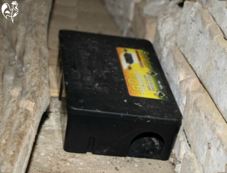 Rat bait station correctly positioned adjacent to a wall.