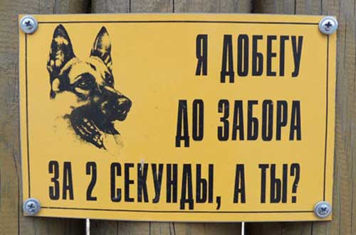 Прикольные таблички: осторожно злая собака