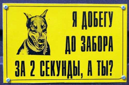 Прикольные таблички: осторожно злая собака