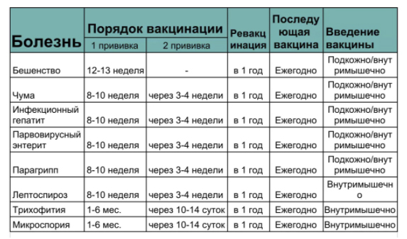 Диаграмма про собак