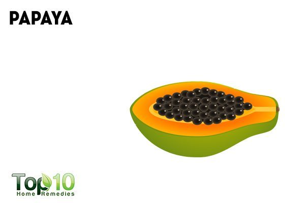 papaya for worms in dogs