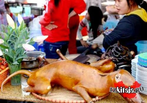 Едят ли китайцы собак и кошек. Едят ли в Китае собак?
